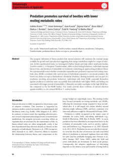Predation promotes survival of beetles with lower resting metabolic