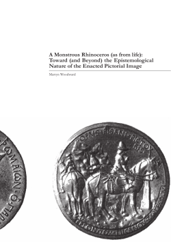A Monstrous Rhinoceros (as from life): Toward (and Beyond) the
