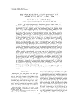the trophic significance of bacteria in a detritus