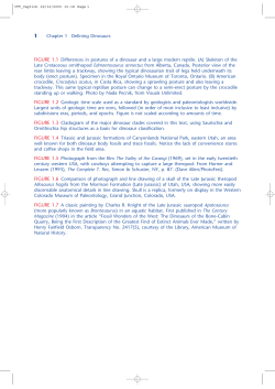 Chapter 1 Defining Dinosaurs FIGURE 1.1 Differences in postures of