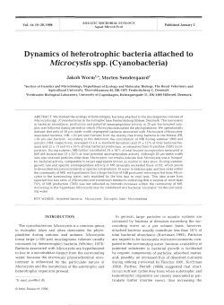Dynamics of heterotrophic bacteria attached to Microcystis spp