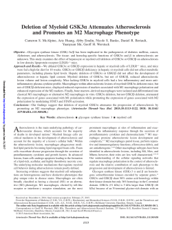 Deletion of Myeloid GSK3&alpha; Attenuates Atherosclerosis and