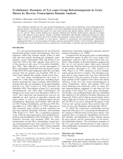 Evolutionary Dynamics of Ty1-copia Group Retrotransposons in
