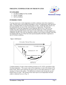 lung volumes and capacities