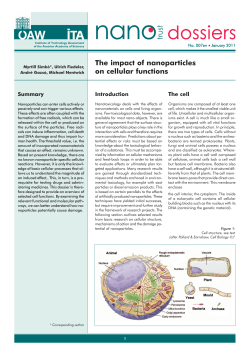 The impact of nanoparticles on cellular functions