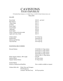 Salad Price list