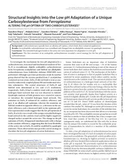 Structural Insights into the Low pH Adaptation of