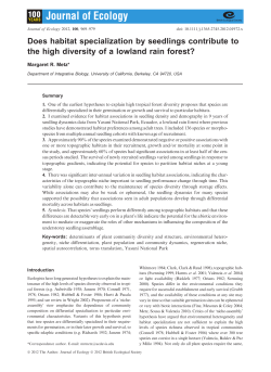 Does habitat specialization by seedlings contribute to the high