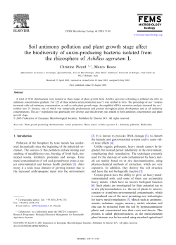 Soil antimony pollution and plant growth stage affect the biodiversity