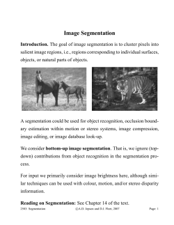 Image Segmentation - Department of Computer Science