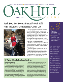 Pack 800 Boy Scouts Beautify Oak Hill with Volunteer Community