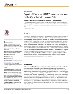 Export of Precursor tRNAIle from the Nucleus to the Cytoplasm in