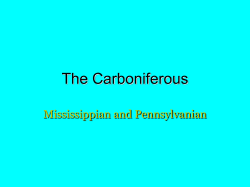 The Carboniferous - Gondwana Research