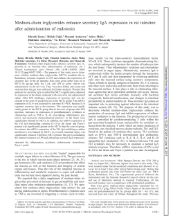 Medium-chain triglycerides enhance secretory IgA expression in rat
