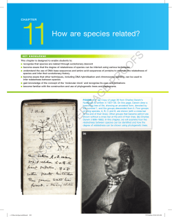 How are species related?