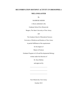 PDF-1 - RUcore