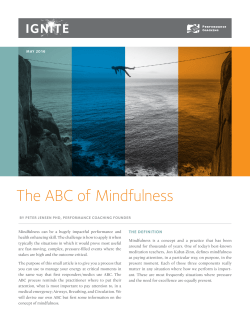 PDF - Performance Coaching