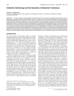Collective Swimming and the Dynamics of Bacterial Turbulence