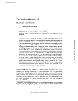 The Mechanochemistry of Muscular Contraction