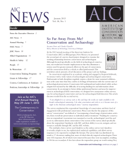 Conservation and Archaeology - American Institute for Conservation