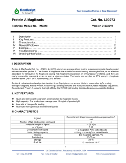 Protein A MagBeads Cat. No. L00273