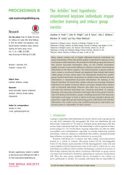 The Achilles` heel hypothesis: misinformed keystone individuals