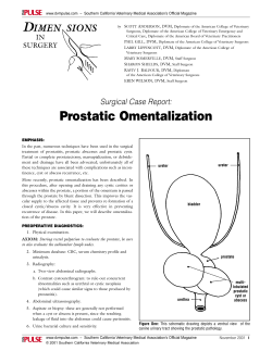 Surgical Case Report: Prostatic Omentalization