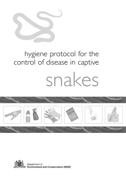 Hygiene protocol for the control of disease in captive snakes