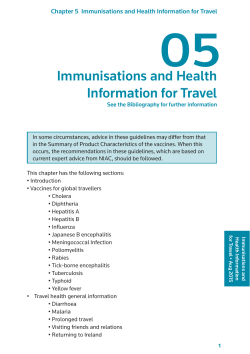 Immunisations and Health Information for Travel