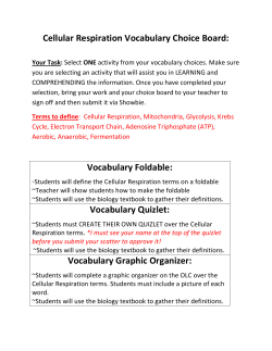 Cellular Respiration Vocabulary Choice Board: Vocabulary Foldable
