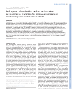 Endosperm cellularization defines an important developmental