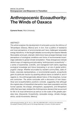Anthropocenic Ecoauthority: The Winds of Oaxaca