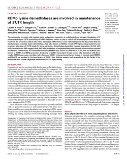 KDM5 lysine demethylases are involved in maintenance of 3&prime; UTR