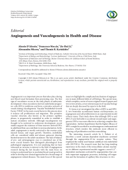 Editorial Angiogenesis and Vasculogenesis in Health and