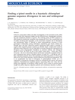 Finding a (pine) needle in a haystack: chloroplast genome