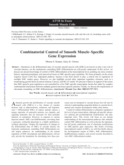 Combinatorial Control of Smooth Muscle&ndash;Specific Gene Expression
