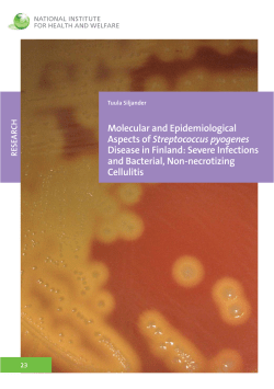 Molecular and Epidemiological Aspects of Streptococcus pyogenes