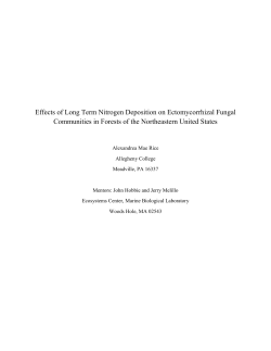 Effects of Long Term Nitrogen Deposition on Ectomycorrhizal Fungal