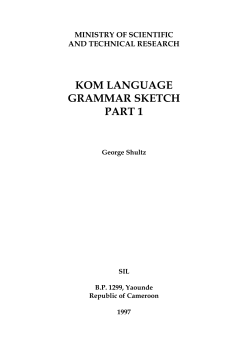 Kom language grammar sketch