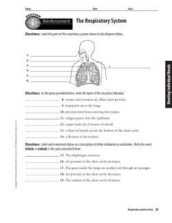 Chapter 6 Resource: Respiration and Excretion