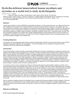 Dysferlin-deficient immortalized human myoblasts