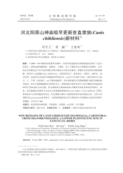 New remains of Canis chihliensis