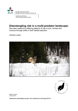 Disentangling risk in a multi-predator landscape