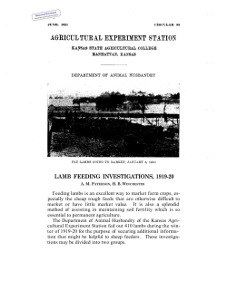 SC088 1921 Lamb Feeding Investigations 1919-1920