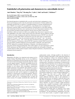 Endothelial cell polarization and chemotaxis in a microfluidic device&dagger;