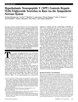 PDF - American Diabetes Association