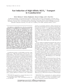 Fast Induction of High-Affinity HCO3 Transport in
