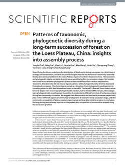 Patterns of taxonomic, phylogenetic diversity during a long