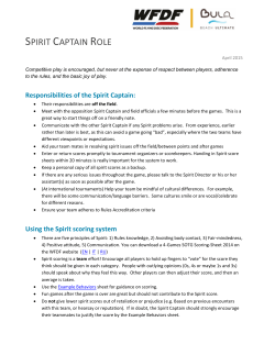 Spirit Captain Role