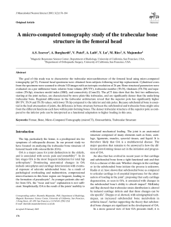 A micro-computed tomography study of the trabecular bone structure